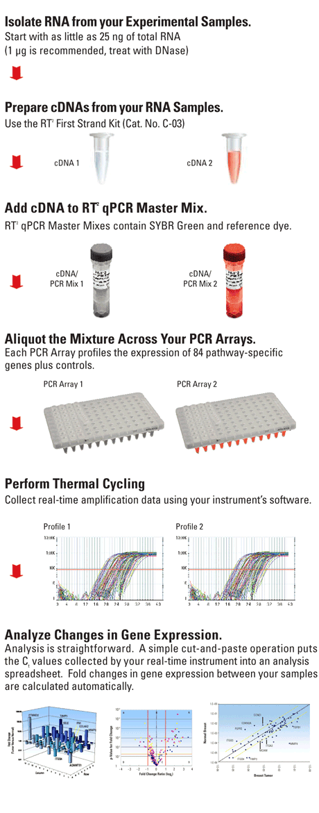 SuperArray社製 PCR Array How it works